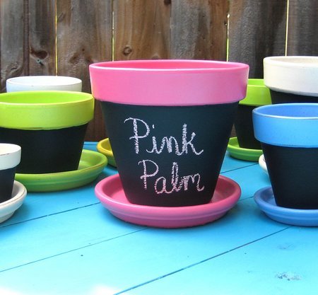 pink palm pots and more