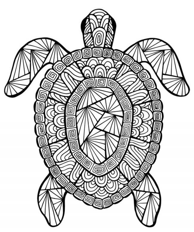 Download 12 Free Printable Adult Coloring Pages for Summer ...