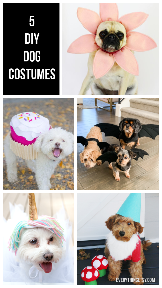 5 DIY Dog Costumes–Quick & Easy Ideas 